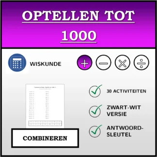 Combineeroefening: Optellen tot 1000