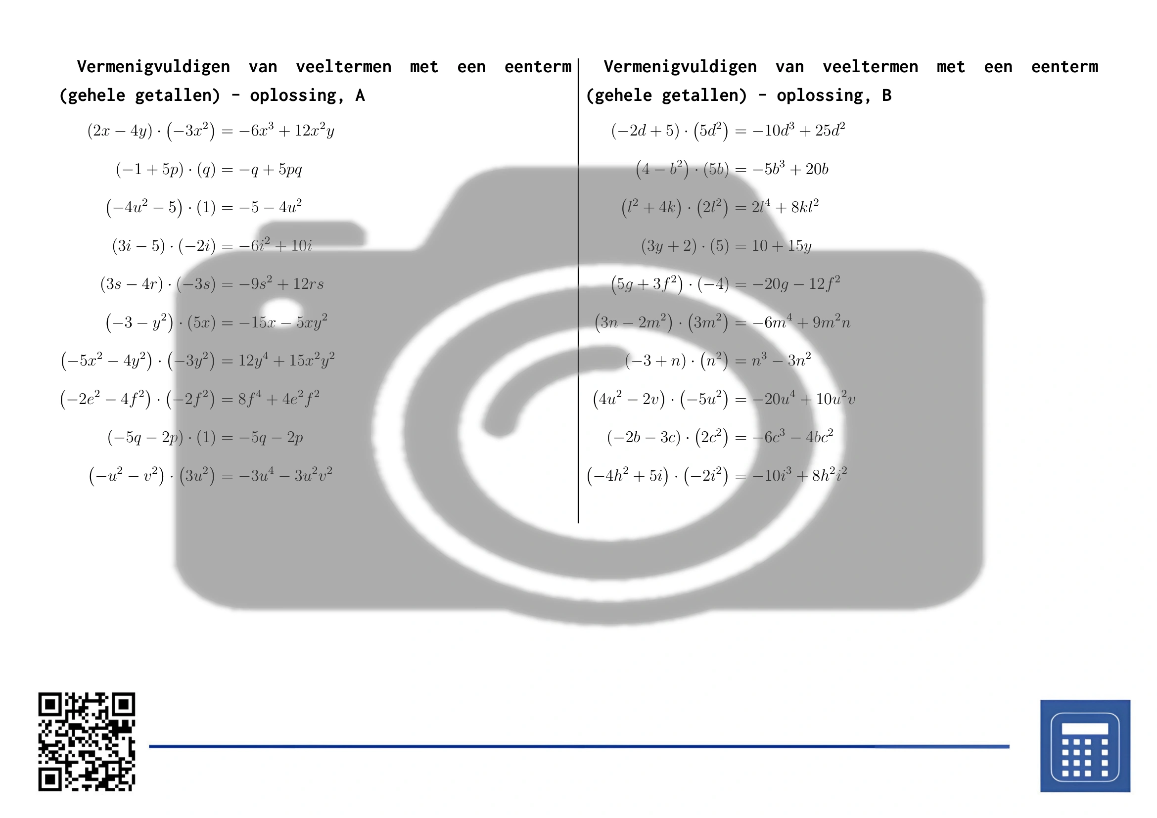 Werkblad: Vermenigvuldigen van veeltermen met een eenterm (gehele getallen) - Afbeelding 4