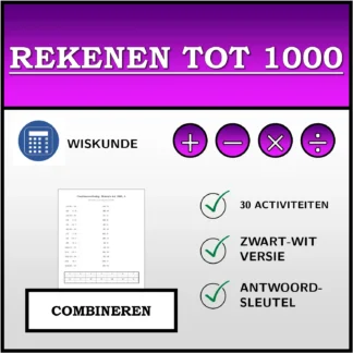 Combineeroefening: Rekenen tot 1000