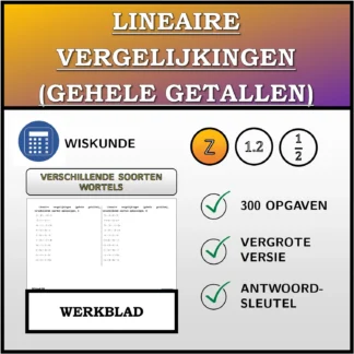 Werkblad: Lineaire vergelijkingen (gehele getallen), verschillende soorten oplossingen