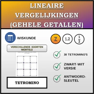Tetromino: Lineaire vergelijkingen (gehele getallen), verschillende soorten oplossingen