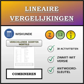 Combineeroefening: Lineaire vergelijkingen, verschillende soorten oplossingen