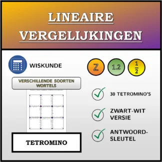 Tetromino: Lineaire vergelijkingen, verschillende soorten oplossingen