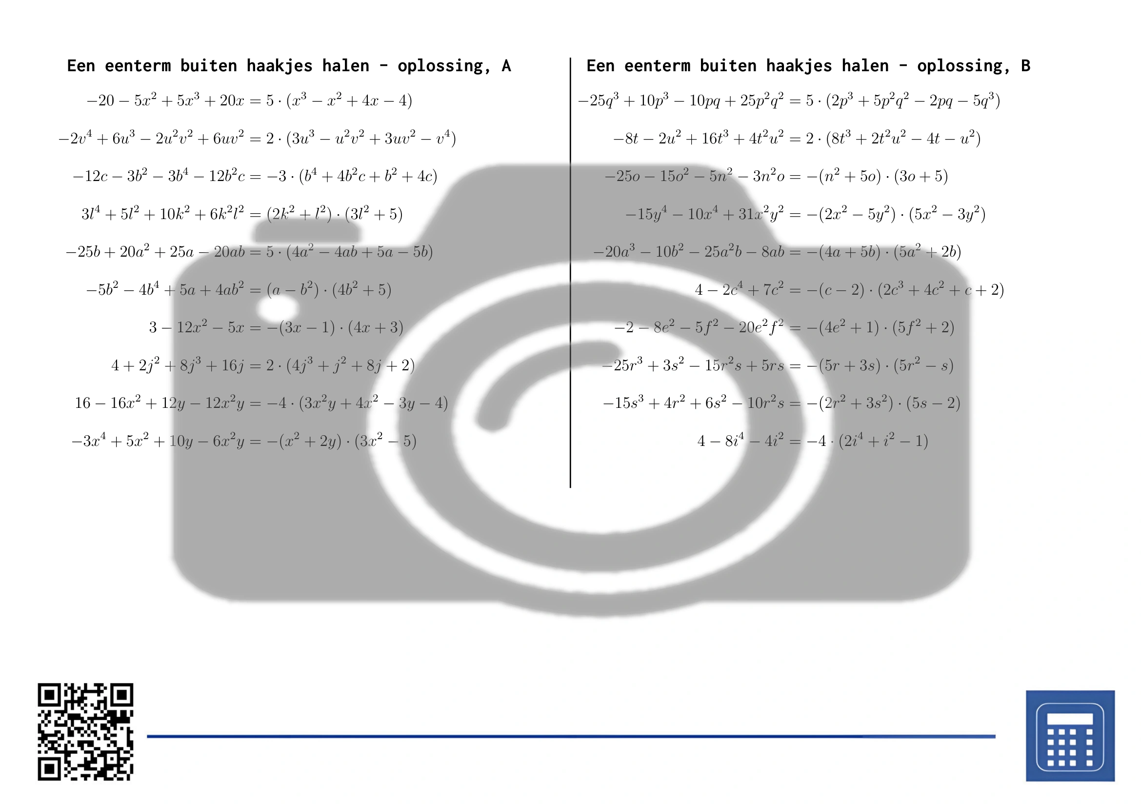 Werkblad: Een eenterm buiten haakjes halen - Afbeelding 4