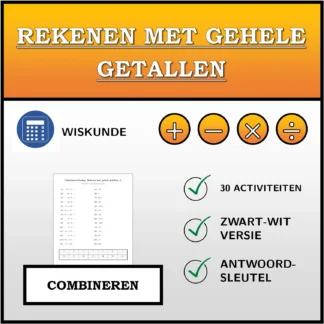 Combineeroefening: Rekenen met gehele getallen