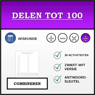 Combineeroefening: Delen tot 100