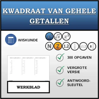 Werkblad: Kwadraat van gehele getallen